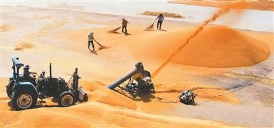 前5个月货物贸易进出口增长2.5%——  中国外贸延续增长态势